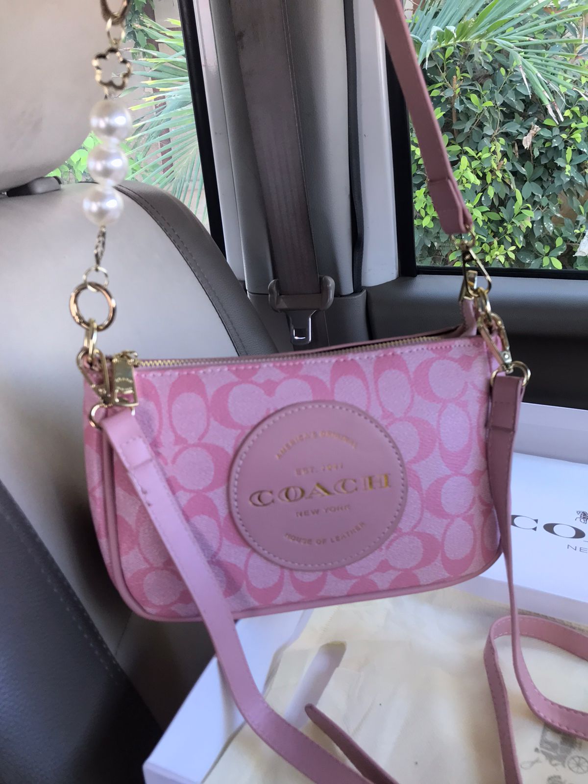 Pink Coach Crossbody Bag