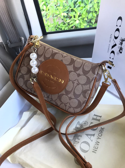 Brown Coach Signature Crossbody Bag