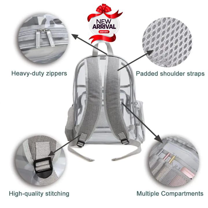 Transparent Backpack