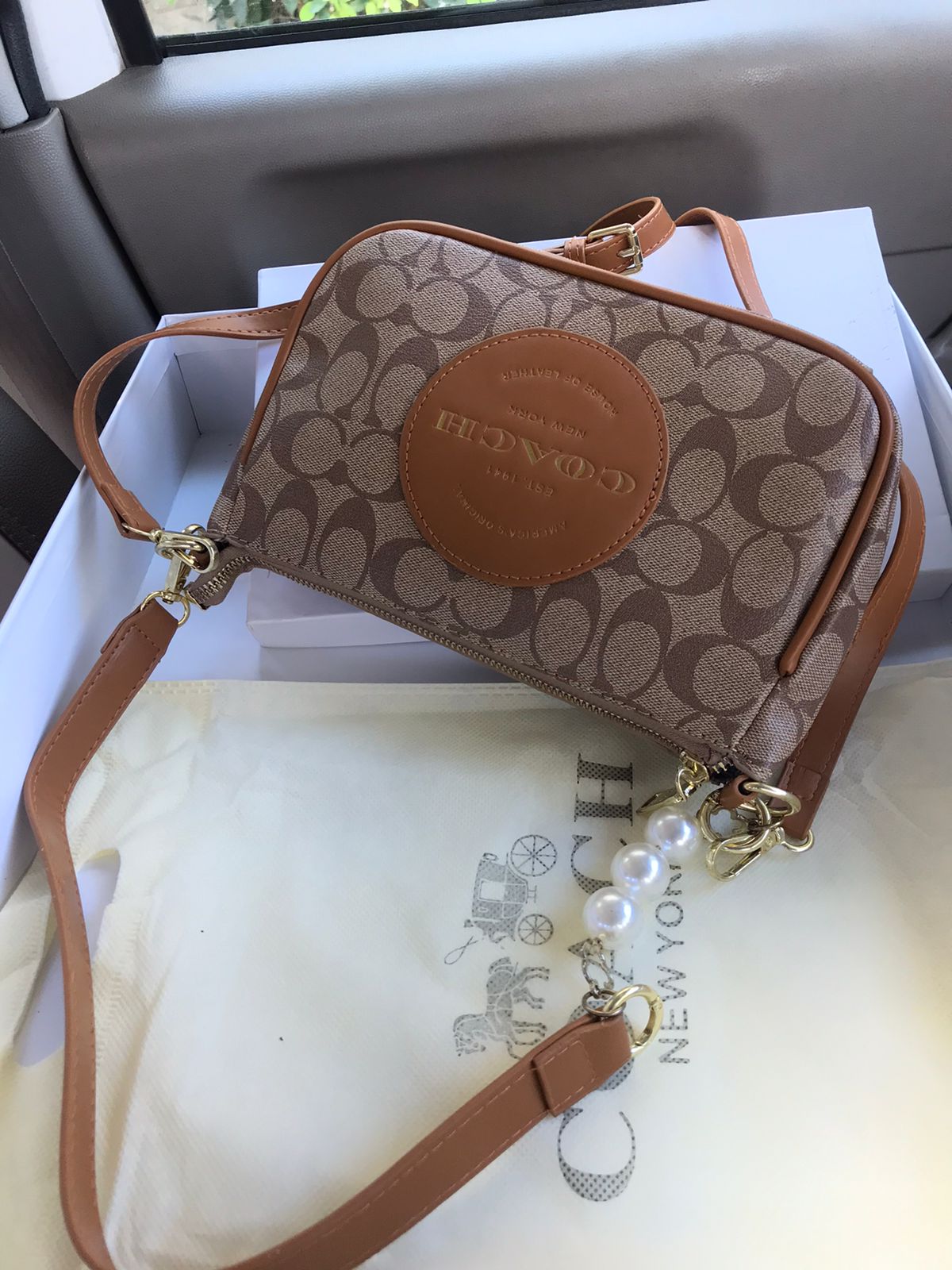 Brown Coach Signature Crossbody Bag