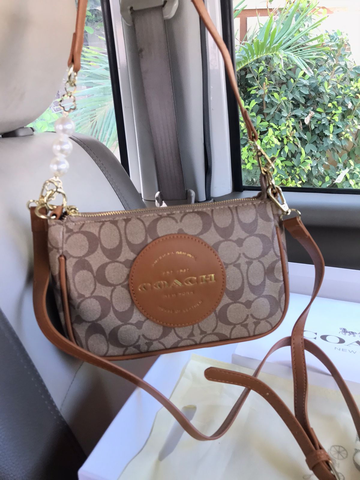 Brown Coach Signature Crossbody Bag