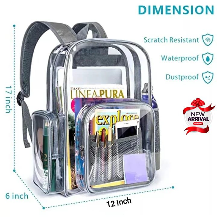 Transparent Backpack